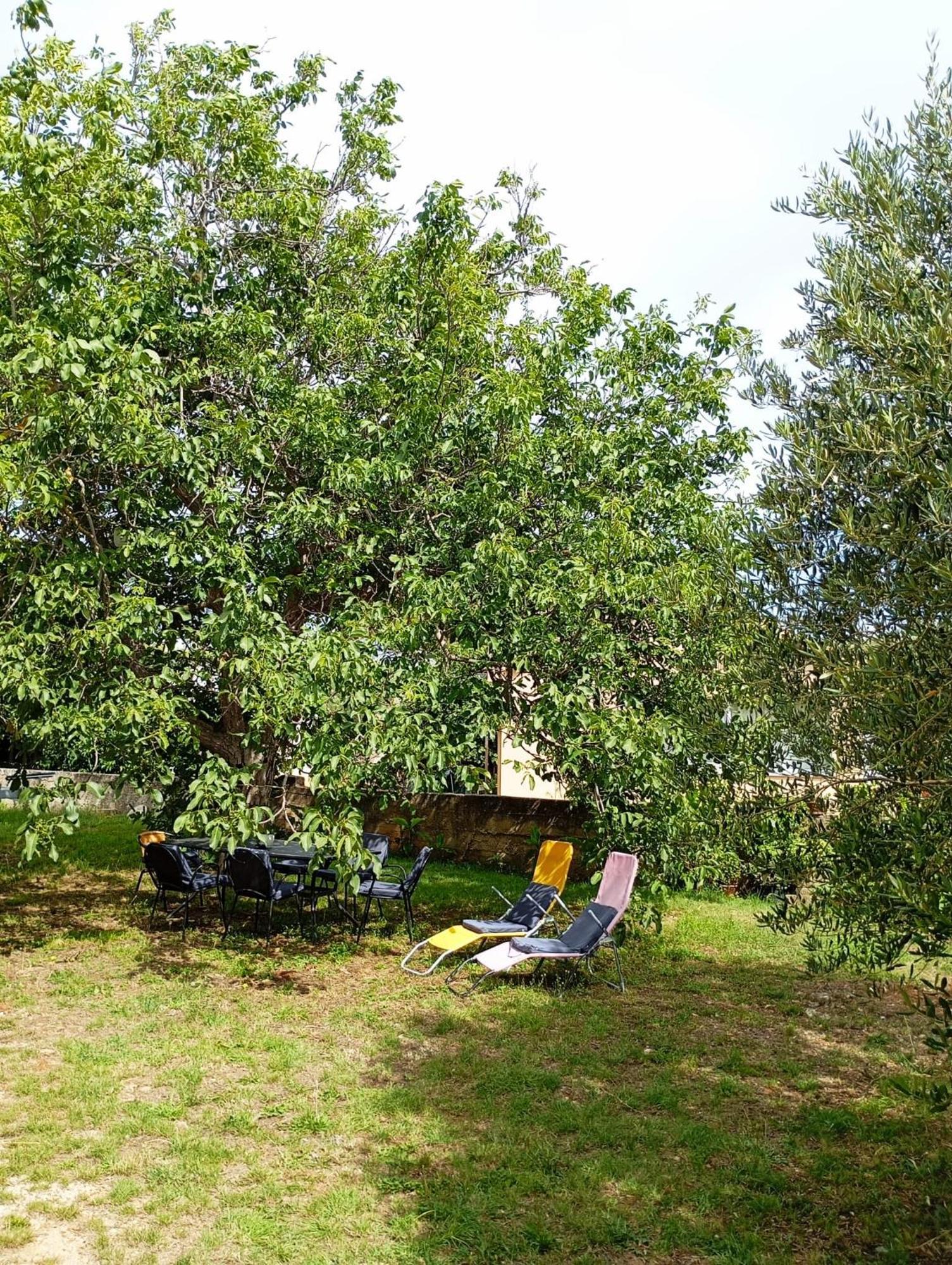 Apartmani Joja Biograd Na Moru Eksteriør bilde